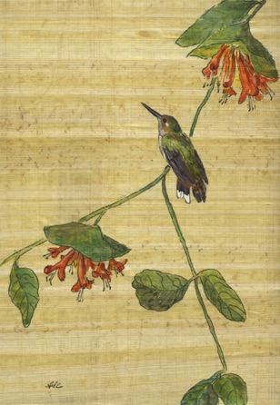Hummingbird and Honeysuckle #1
Watercolor - 7"x10"